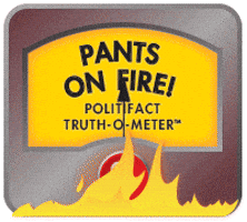 PolitiFact giphyupload politics fake false GIF
