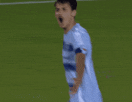 Sporting Kc Love GIF by Major League Soccer