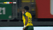 GIF by FOX Sports