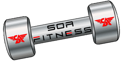 Soa Fitness Sticker by SOA Marketing