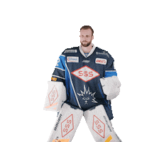 Goalie Dresden Sticker by Dresdner Eisloewen