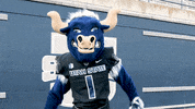 Lets Go Mascot GIF by Utah State University