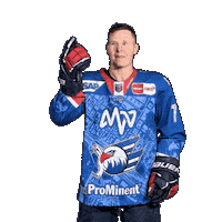 Solow Sticker by Adler Mannheim