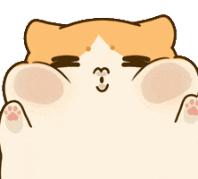 Cat Kiss GIF by Bichi Mao
