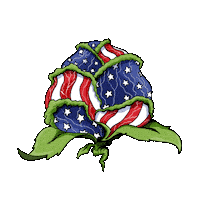 Libertycabbage Sticker by zoefannet
