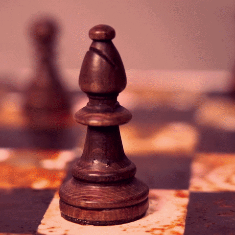 Chess Dayan GIF by Gautier sans H