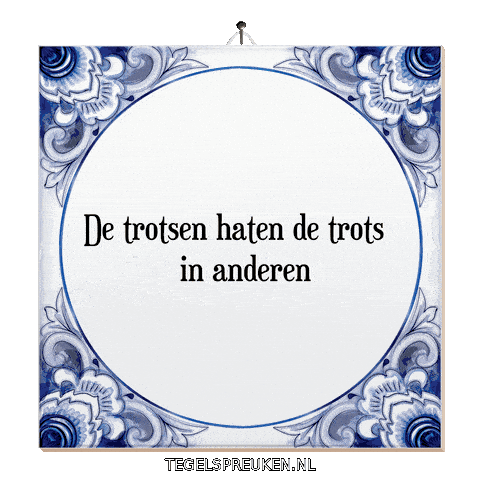 Wijsheid Spanning Sticker by Tegelspreuken.nl