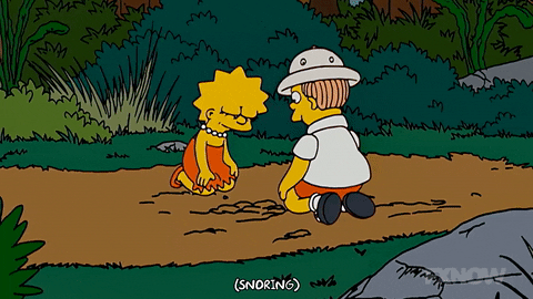 the simpsons GIF