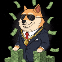 Shiba Inu Success GIF by Doge Pound