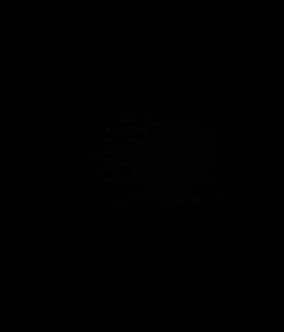 Tequilasoundfestival tsf tequilasound GIF