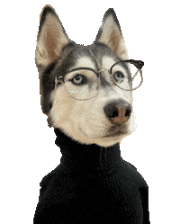 unimpressedhusky unimpressedhusky huskyjobs3 Sticker