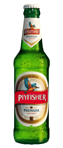 kingfisherworld giphyupload piyfisher Sticker
