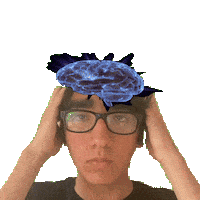 Big Brain Wow Sticker