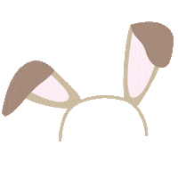 Bow Tie Flowers Sticker by Pets at Home