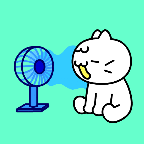 Happy Cat GIF by Mikitti