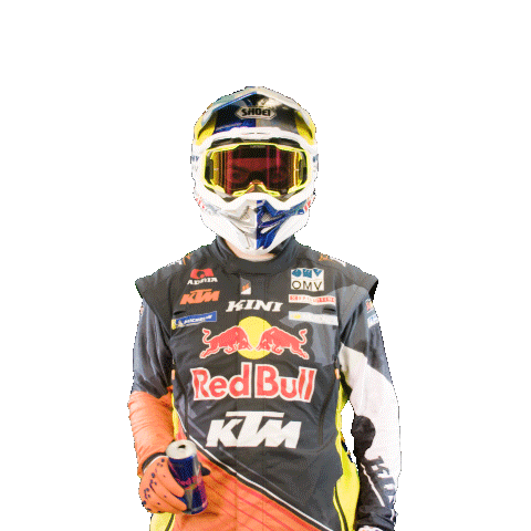 Dakar Sticker by Red Bull