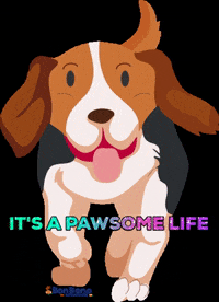 BonBeno love fun life dogs GIF