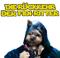 Sokost Sticker by Volker Klärchen