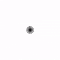 leeallennyc data visualization lee allen nyc data and vision experiments GIF