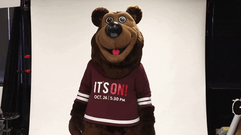 missouristate giphygifmaker boomer missouri state missouri state bears GIF