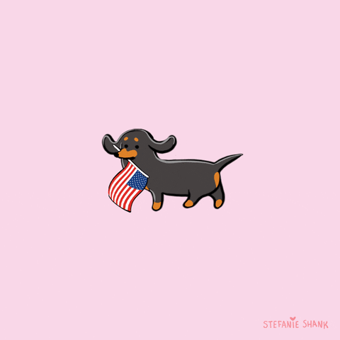 Voting Independence Day GIF by Stefanie Shank