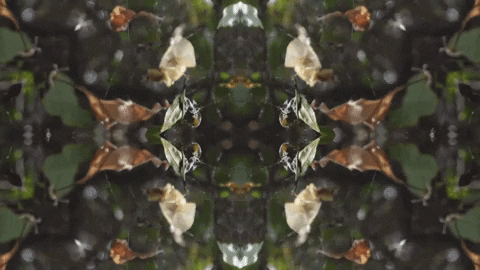 Art Love GIF by jorgemariozuleta