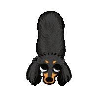 Sausage Dog Dachshund Sticker