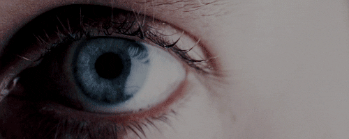 eye bug GIF