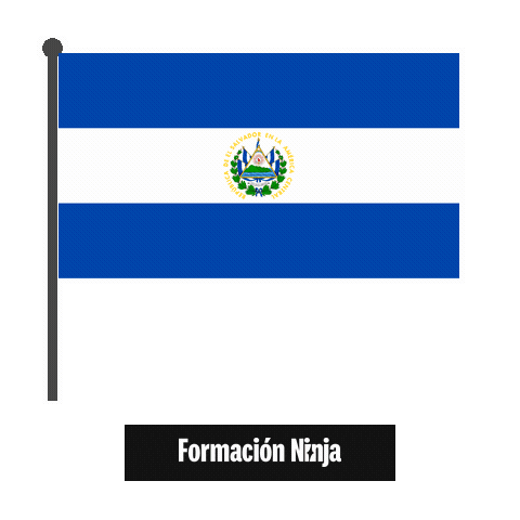 El Salvador Flag Sticker by Formación Ninja