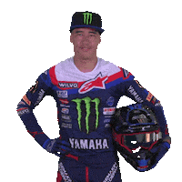 Monster Energy Racing Sticker by MXGP