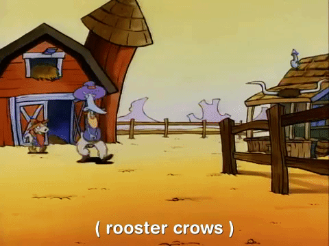 rockos modern life nicksplat GIF