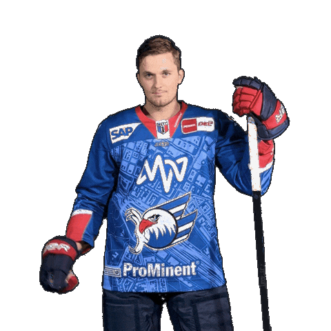 Reichel Sticker by Adler Mannheim