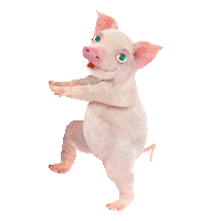 happy chinese new year Sticker by Chris Timmons