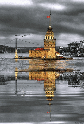 Lionelhotelistanbul giphyupload GIF
