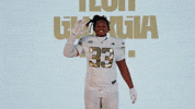 Georgia Tech Football Sport GIF by Georgia Tech Yellow Jackets