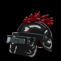 Equipo Chickendinner GIF