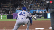Chicago Cubs Slide GIF by TheDreamTeam 