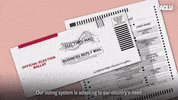 Voting Election 2020 GIF by ACLU