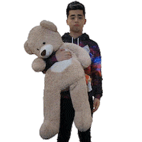 javier ramirez love Sticker by Sony Music Colombia