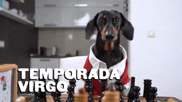 Temporada Virgo