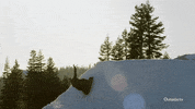 Wipe Out Lol GIF by Outside TV