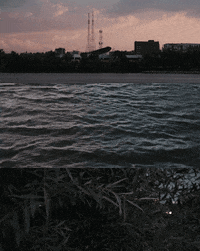 brohate creationraspberrysunset GIF