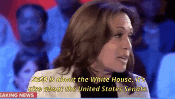 Kamala Harris Msnbc GIF by Election 2020