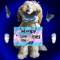 I Love You Lgbt GIF