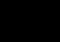 FreeTreeOpenair free tree free tree festival free tree open air free tree austria GIF