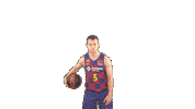 Fc Barcelona Basketball Sticker by ACB