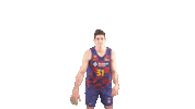 Fc Barcelona Basketball Sticker by ACB