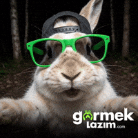 Bunny Rabbit GIF by Görmek Lazım