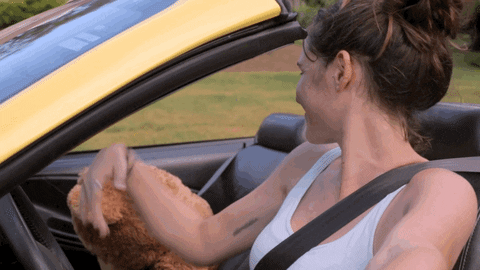 Happy Come On GIF by CA in LA