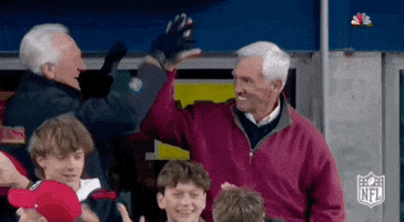 National Football League GIF by NFL